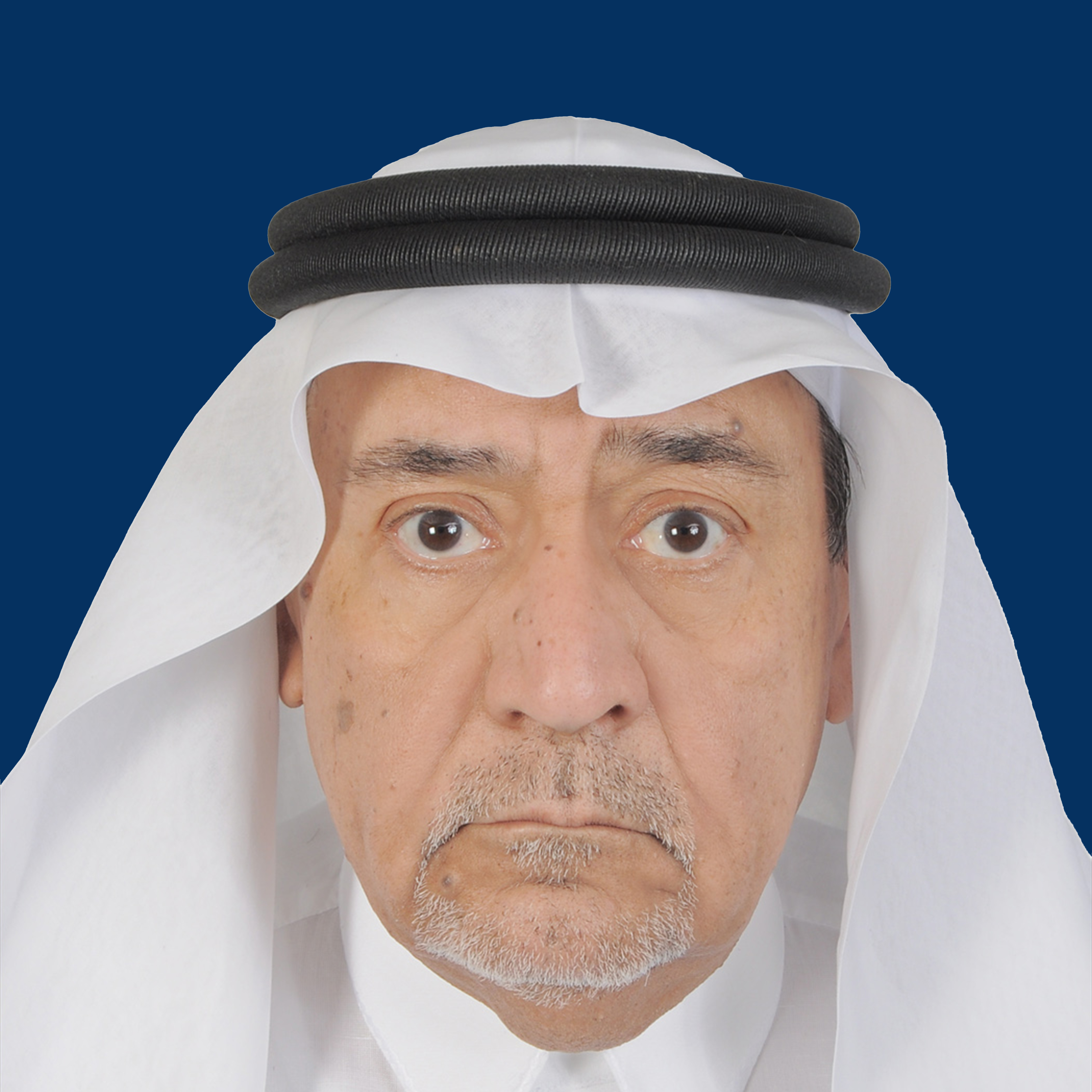 محمد حسن عبدالله زين الدين سراوق